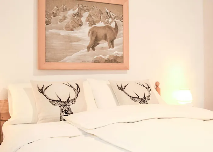 Chesa Tschierv Ii 30 By Interhome Celerina/Schlarigna