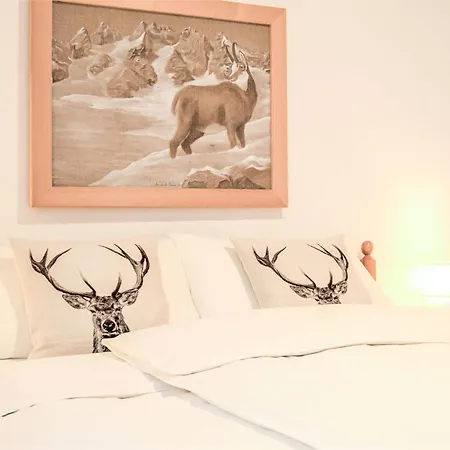 Chesa Tschierv Ii 30 By Interhome Celerina/Schlarigna